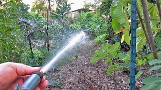 Foliar Spray Plant Fertilization  How When amp Why [upl. by Zephaniah398]