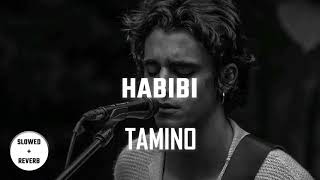 Tamino  Habibi  Slowed  Reverb [upl. by Mcclimans689]