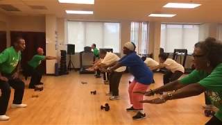 Strength Training Workout for Older Adults [upl. by Mateya]