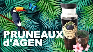 What is PRUNEAUX DAGEN and How to Use It Prunes and Spirit the FRENCH WAY from Agen [upl. by Botzow360]