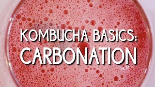 Kombucha Basics Carbonation [upl. by Rosita]