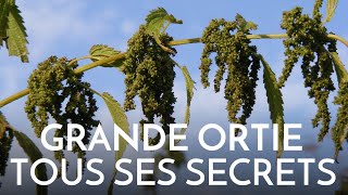 Lortie  tous ses secrets [upl. by Eiruam]