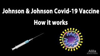 How JampJ COVID19 Vaccine Works Animation [upl. by Eleonore]