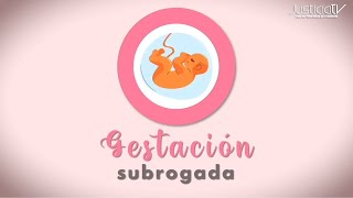 Gestación Subrogada [upl. by Neehar]