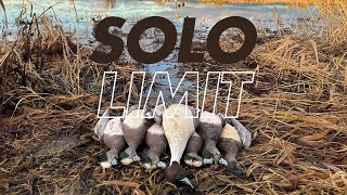 SOLO WIGEON SMACKDOWN 45 Minute LIMIT [upl. by Aivuy]