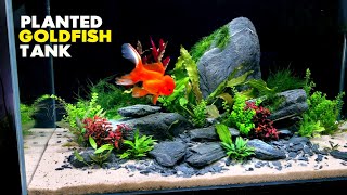 Aquascape Tutorial Fancy Goldfish Planted Aquarium How To Step by Step Build Guide [upl. by Siblee860]