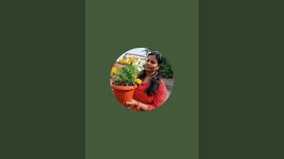 Gardening with Arundhati is live [upl. by Komsa]