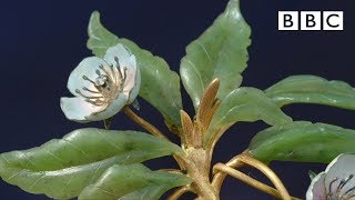 Magical Faberge flower valued at £1 million  Antiques Roadshow  BBC [upl. by Ahsenauj]