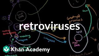 Retroviruses  Cells  MCAT  Khan Academy [upl. by Ecnatsnok343]