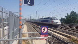 Trains at Avignon TGV LGV Méditerranée Eurostar TGV Lyria Ouigo TER ENG Commentary 3917 [upl. by Simpson]