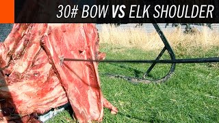 30 Pound Bow vs Elk Shoulder Test [upl. by Leila983]