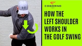 GOLF How The Left Shoulder Works In The Golf Swing [upl. by Koffler]