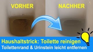 Toilette reinigen Toilettenränder amp Urinstein beseitigen  Kalkflecken entfernen [upl. by Edla]