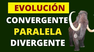 TIPOS DE EVOLUCIÓN convergente paralela y divergente [upl. by Aieka]