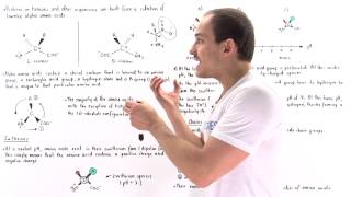 Introduction to Amino Acids [upl. by Dumm]