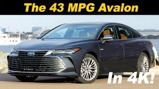 2019 Toyota Avalon Hybrid Review  First Drive [upl. by Rundgren]