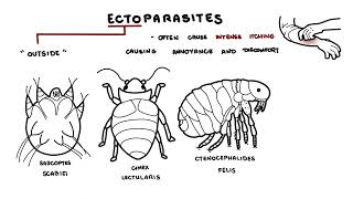 Parasites Overview [upl. by Enerual85]