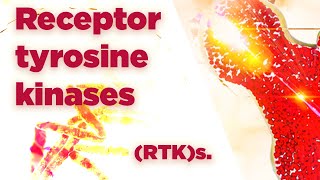 Receptor tyrosine kinases  RTKs  Cell Signaling [upl. by Mart681]