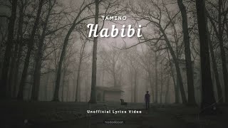 TAMINO  HABIBI LYRICS [upl. by Alomeda]