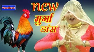 असमीना का न्यू मुर्गा डांस Mewati song asmina  Goodluck Media [upl. by Letha]