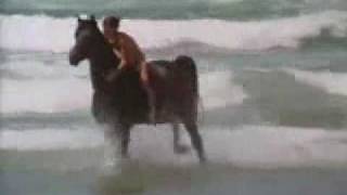 The Black Stallion  Learning to Ride The Black [upl. by Dorene]