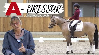 Klasse A🐴 Alles was du wissen musst 💡I Dressuraufgaben by ClipMyHorseTV Academy  ADressur [upl. by Phillips]