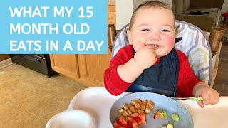 What my 10 month old baby eat in a day [upl. by Ecnesse909]