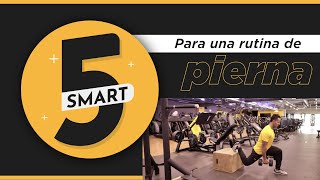 5 Smart para tu rutina de pierna 🏋️‍♂️🔥 [upl. by Gurolinick625]