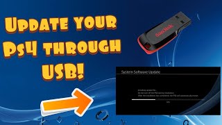 How to Update Your PS4 System Software Using A USB Simple Method [upl. by Gaul]