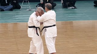 Okinawa Gojuryu Bujutsu  42nd Japanese Kobudo Demonstration 2019 [upl. by Letitia876]