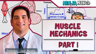 Musculoskeletal System  Muscle Mechanics  Twitch Summation amp Tetanus [upl. by Badr]