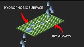 Science behind Hydrophobic technologies  The lotus effect [upl. by Yniffit]