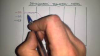 The Demographic Transition Model [upl. by Treborsemaj]