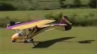 Weedhopper single place part 103 legal ultralight aircraft [upl. by Anrahs744]