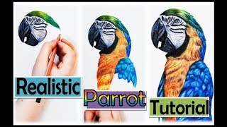 HOW TO DRAW A REALISTIC PARROT  STEPBYSTEP TUTORIAL [upl. by Woolson]