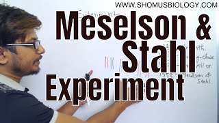 Meselson and Stahl experiment [upl. by Natala152]