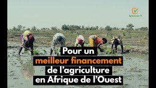 Pour un meilleur financement de l’agriculture en Afrique de l’Ouest [upl. by Lenad]