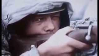 THE GERMAN INVASION OF RUSSIA Military History World War II Documentary [upl. by Shornick]