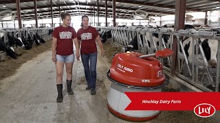 Hinchley’s Dairy Farm – Lely Life Story [upl. by Atnoid]