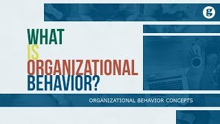 What is Organizational Behavior [upl. by Aidan278]