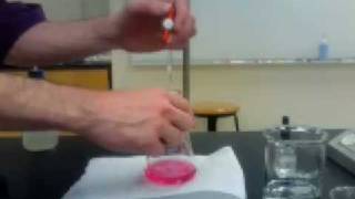 Methyl Red Titration [upl. by Leinahtan57]