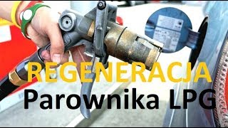 Regeneracja parownika  reduktora LPG [upl. by Trebornhoj896]