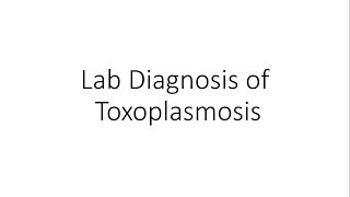 Laboratory Diagnosis of Toxoplasmosis  Parasitology [upl. by Hailey]