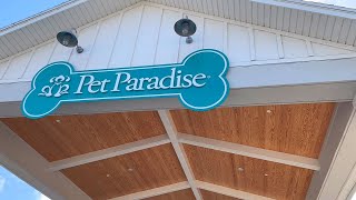 Pet Paradise Virtual Tour  Boarding • Day Camp • Veterinary Care • Grooming [upl. by Flossie]