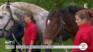 ANIMAUX  Dans lOrne les chevaux de trait font le show [upl. by Odnanreh834]