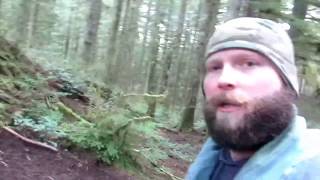 Danner Trail 2650 GTX Hiking Shoe Review [upl. by Ned984]