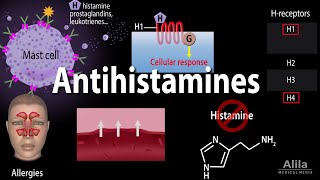 Histamine and Antihistamines Pharmacology Animation [upl. by Laband]