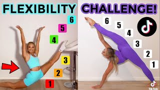 FLEXIBILITY TIK TOK CHALLENGE TWIN VS TWIN [upl. by Rodmun]