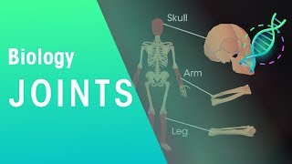 Joints  Physiology  Biology  FuseSchool [upl. by Nalim]