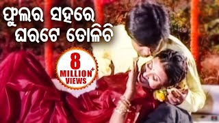 Phula Ra Sahare ଫୁଲ ର ସହରେ  Odia Romantic Song  Album  Bana Harini  Sidharth Music [upl. by Gnad]